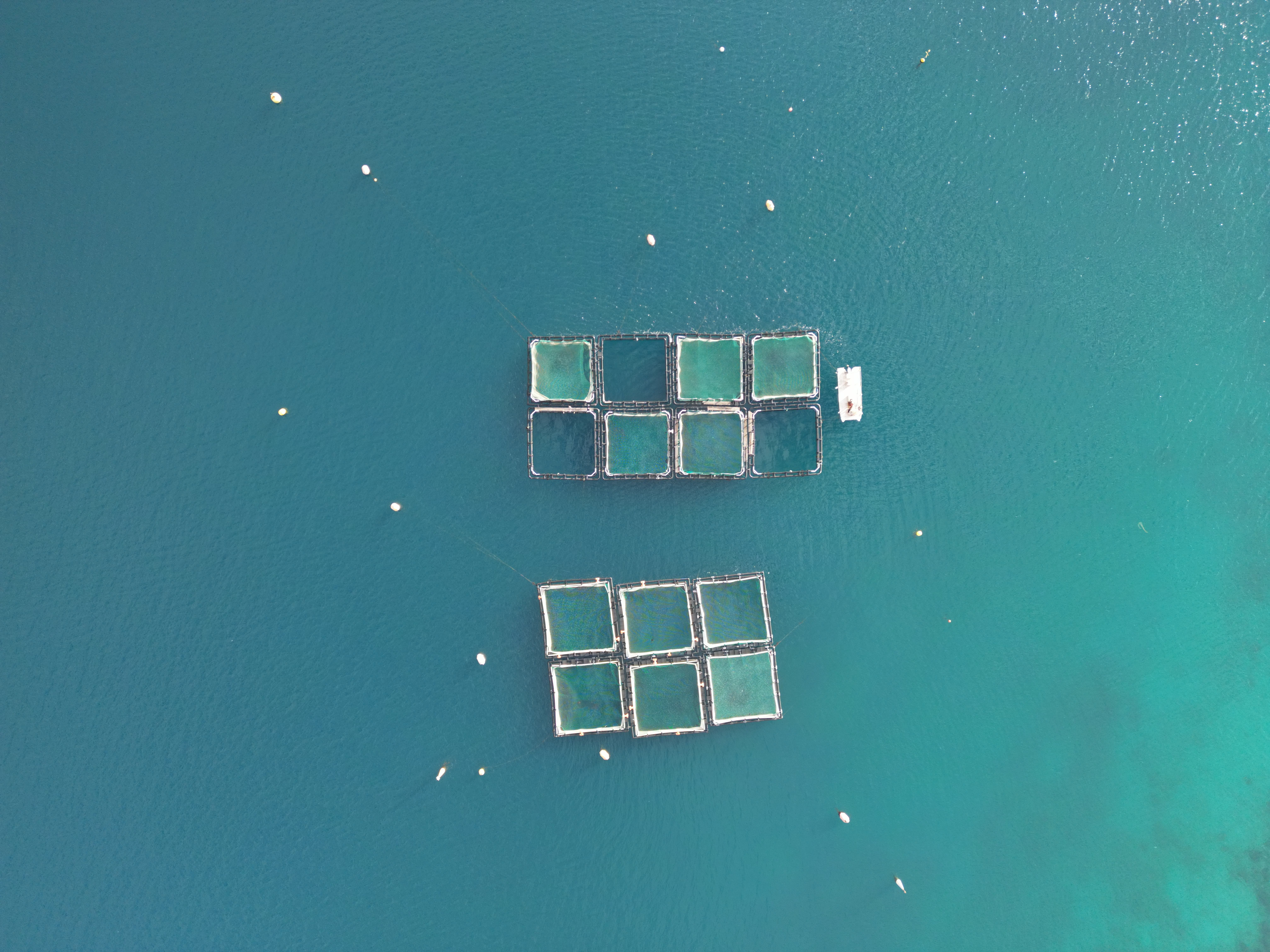 Caribbean coastal waters
